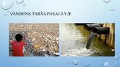 Vandens tarša pasaulyje ir Lietuvoje, vandens valymas, tyrimai 19 puslapis