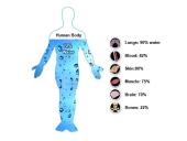 Suaugusių žmonių kūno kompozicijos vertinimo metodai 8 puslapis