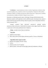 Erdviniai kūnai architektūroje 2 puslapis