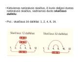 Skaičiaus dalikliai 3 puslapis