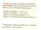 Skaičiaus dalikliai 4 puslapis