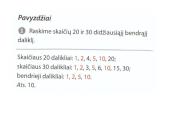 Skaičiaus dalikliai 5 puslapis