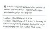 Skaičiaus dalikliai 6 puslapis