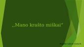 Mano krašto miškai