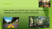 Mano krašto miškai 2 puslapis