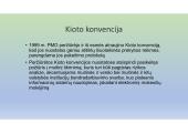 Muitinės procedūros: skaidrės 17 puslapis