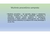Muitinės procedūros: skaidrės 3 puslapis