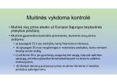 Muitinės procedūros: skaidrės 4 puslapis