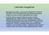 Apie muitinės procedūras 16 puslapis