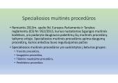 Apie muitinės procedūras 5 puslapis