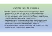 Specialioji muitinės procedūra – tranzitas 3 puslapis