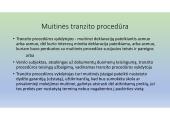 Specialioji muitinės procedūra – tranzitas 4 puslapis