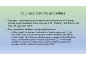 Specialioji muitinės procedūra – tranzitas 7 puslapis