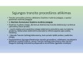 Specialioji muitinės procedūra – tranzitas 10 puslapis