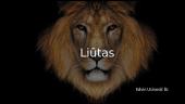 Knyga "Liūtas"