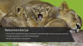 Knyga "Liūtas" 12 puslapis