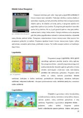 Kompensacinės kompiuterinės technologijos asmenims su IS 14 puslapis