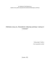 Dešimties tezių esė „Šiuolaikinio mokytojo profesija: 5 pliusai ir 5 minusai“ 