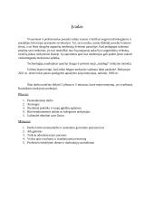 Dešimties tezių esė „Šiuolaikinio mokytojo profesija: 5 pliusai ir 5 minusai“  2 puslapis