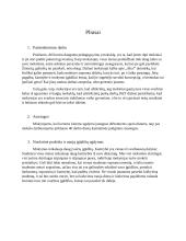 Dešimties tezių esė „Šiuolaikinio mokytojo profesija: 5 pliusai ir 5 minusai“  3 puslapis