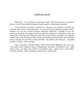 Dešimties tezių esė „Šiuolaikinio mokytojo profesija: 5 pliusai ir 5 minusai“  6 puslapis