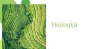 Ekologija. Kas tai?