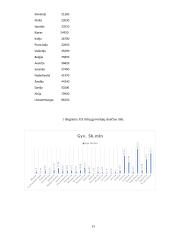 Draudimo paslaugos bankuose 13 puslapis