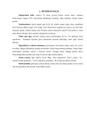 Moters slaugos istorija 2 puslapis