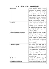 Moters slaugos istorija 3 puslapis