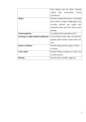 Moters slaugos istorija 4 puslapis