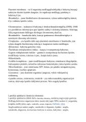 Ląstelės sandara teorija 2 puslapis