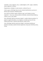 Ląstelės sandara teorija 3 puslapis