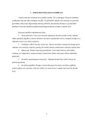 Emocinis intelektas, jo svarba gyveime ir profesinėje aplinkoje 4 puslapis