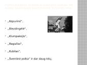 Lietuvių liaudies šokiai 12 puslapis