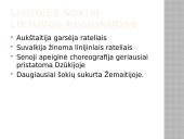 Lietuvių liaudies šokiai 5 puslapis