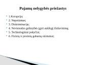 Pajamų nelygybė ir skurdas Lietuvoje  4 puslapis
