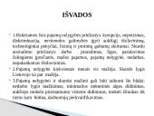 Pajamų nelygybė ir skurdas Lietuvoje  9 puslapis