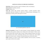 Spalvų skyrimas 9 puslapis