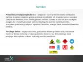 Potencialiai pavojingi irenginiai. Pavojingi darbai  2 puslapis