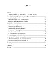 Jungtinių Amerikos Valstijų konstitucijos priėmimo istorinis aspektas  2 puslapis