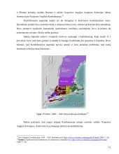 Jungtinių Amerikos Valstijų konstitucijos priėmimo istorinis aspektas  11 puslapis