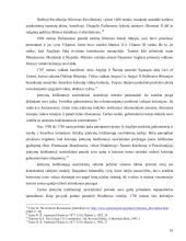 Jungtinių Amerikos Valstijų konstitucijos priėmimo istorinis aspektas  15 puslapis