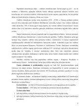 Jungtinių Amerikos Valstijų konstitucijos priėmimo istorinis aspektas  4 puslapis