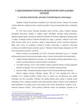 Jungtinių Amerikos Valstijų konstitucijos priėmimo istorinis aspektas  6 puslapis