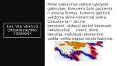 Verslo organizavimo formos ir apie jas 2 puslapis