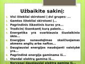 Ištekliai - ekonomikos variklis 12 puslapis