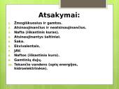 Ištekliai - ekonomikos variklis 13 puslapis