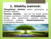 Ištekliai - ekonomikos variklis 4 puslapis