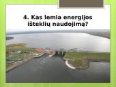 Ištekliai - ekonomikos variklis 9 puslapis