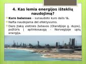 Ištekliai - ekonomikos variklis 10 puslapis